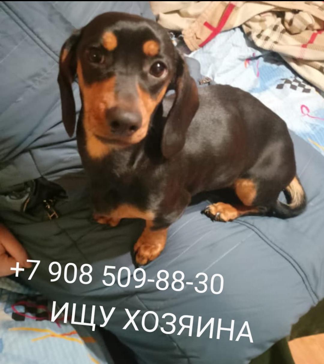 gC4ijEkxV6dhV2Ikdz8aZGV2qlzKs9cuyAg7k8Yp